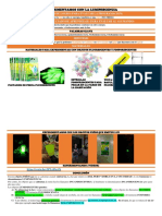 Experimentando Con La LumIniscencia