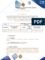 Anexo 5.1-Formato Preinformes - Química Orgánica