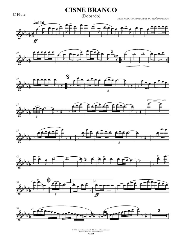 01 C Flute | PDF