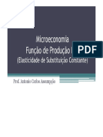 Elasticidade de Substituição Constante