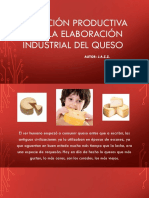 Operación Productiva Para La Elaboración Industrial Del Queso