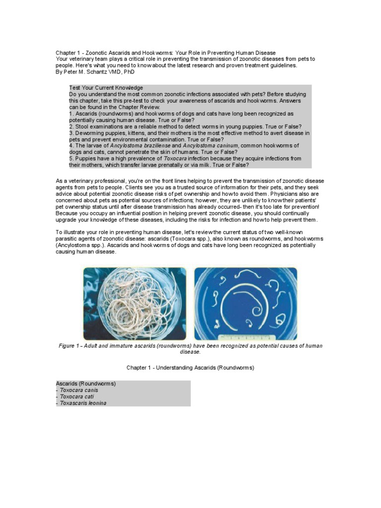 Zoonotic Diseases 1 Si 2 | Dogs | Pet
