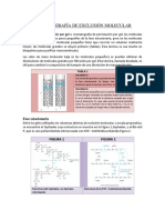 Cromatografía de Exclusión Molecular Informe Final