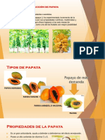Producción de Papaya