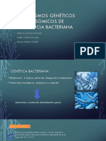 Mecanismos Genéticos Cromosómicos de Resistencia Bacteriana