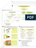 Taller Excrecion Animales PDF