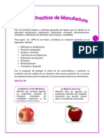 177623286 Manual de Buenas Practicas de Manufactura en Frutas y Hortalizas2