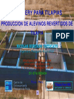 Produccion de Alevines Revertidos de Tilapia 