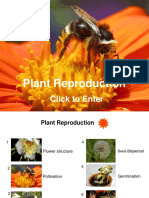 Plant Reproduction - 1