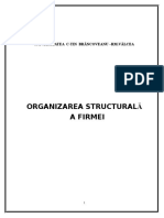 Structura Organizatorica