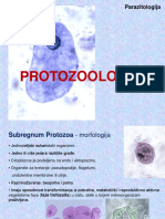 Protozoologija I Deo