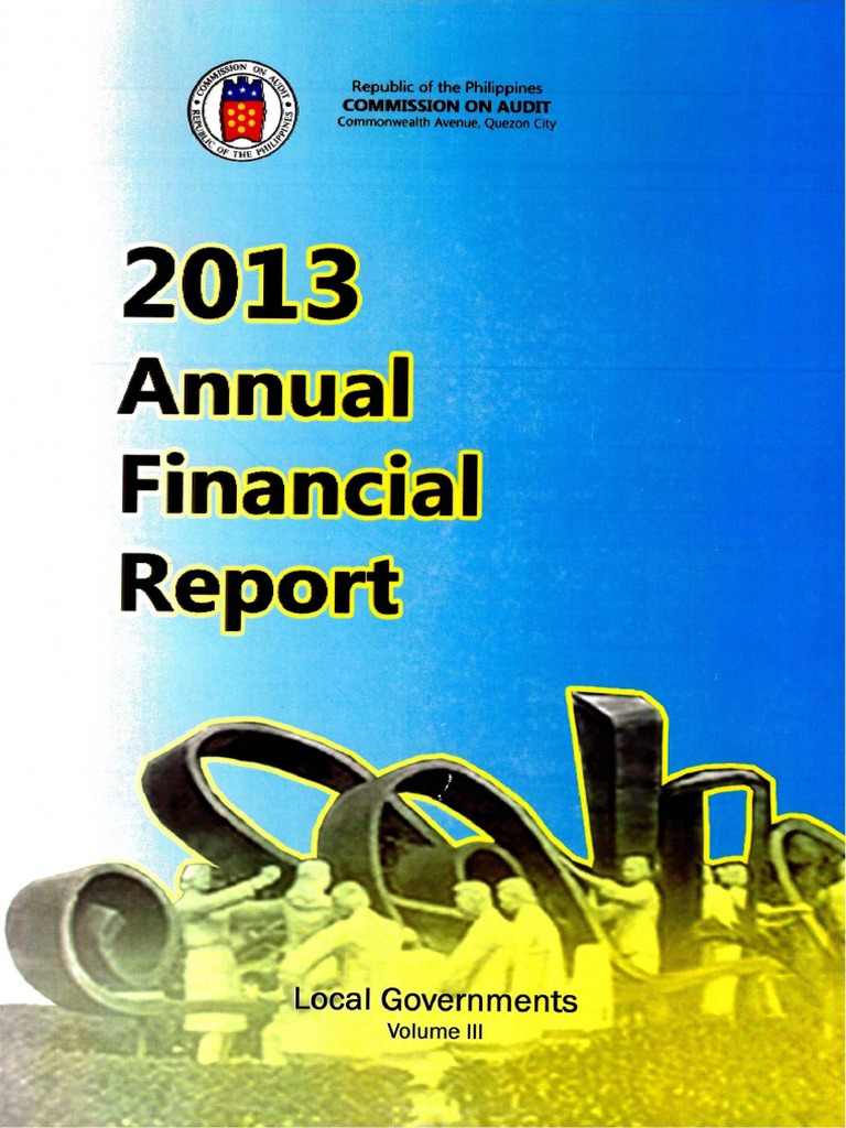 2013 AFR LGUs Vol3 PDF | PDF | Revenue | Audit