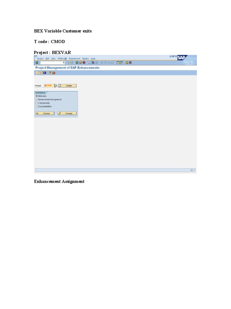 BEX Variable Customer Exits Guide | PDF | Software Engineering | Computing