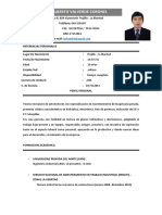 CV Completo