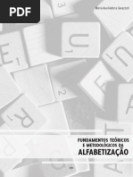 Fundamentos Teoricos e Metodologicos Da Alfabetizacao