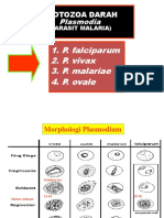 2018 Maret 20 Malaria Prakt