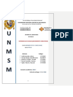 INFORME 2 Fisica