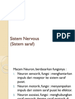 Sistem Nervous (Sistem Saraf)