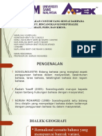 Dialek Geografi, Pijin Dan Kreol