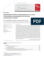 Recombination Between Retrotransposons As A Source of Chromosome Rearrangements in The Yeast