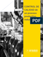 Control calidad proceso productivo.pdf