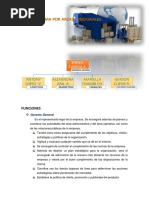Organigrama Por Areas Funcionales