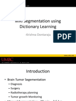 MRI Segmentation Using Dictionary Learning: - Krishna Dontaraju