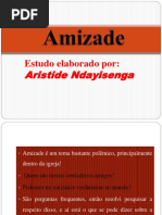 AMIZADE2