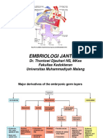 embriology jantung.ppt