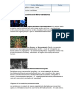 Bases neuroanatómicas del sistema sensorial