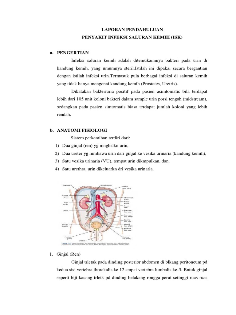 Laporan Pendahuluan Infeksi Saluran Kemih Seputar Laporan