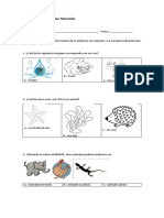 129684391 Diagnostico de Ciencias Naturales PRIMERO BASICO