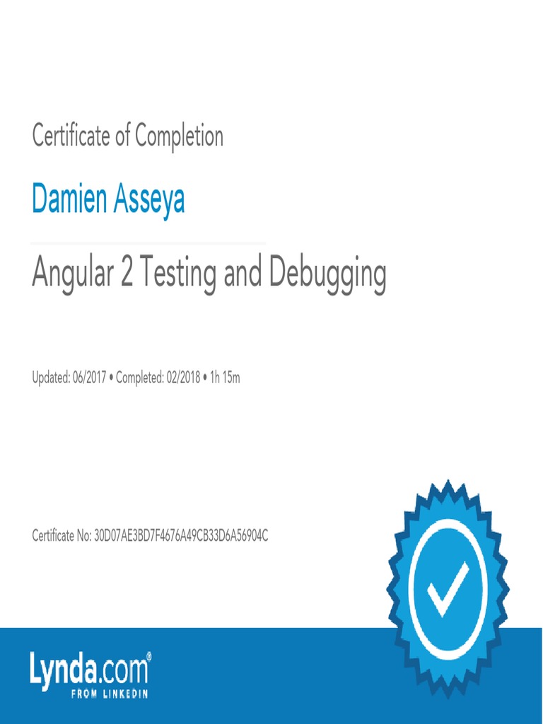 Angular 2 Testing Certificate Completion | PDF