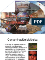 Lic. Daniel Loizzo Origen y Destino de La Contaminacion
