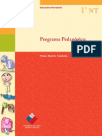 Programa_Pedagogico_NT1.pdf