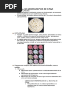 Analisis Microscopico de Orina