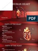 The Human Heart