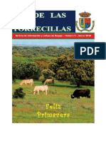 Revista Municipal de Bogajo "Desde Las Torrecillas" - Nº9
