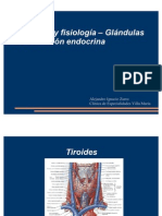 Anatomia Glandulas Endocrinas