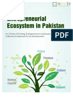 Entrepreneurial Ecosystem of Pakistan