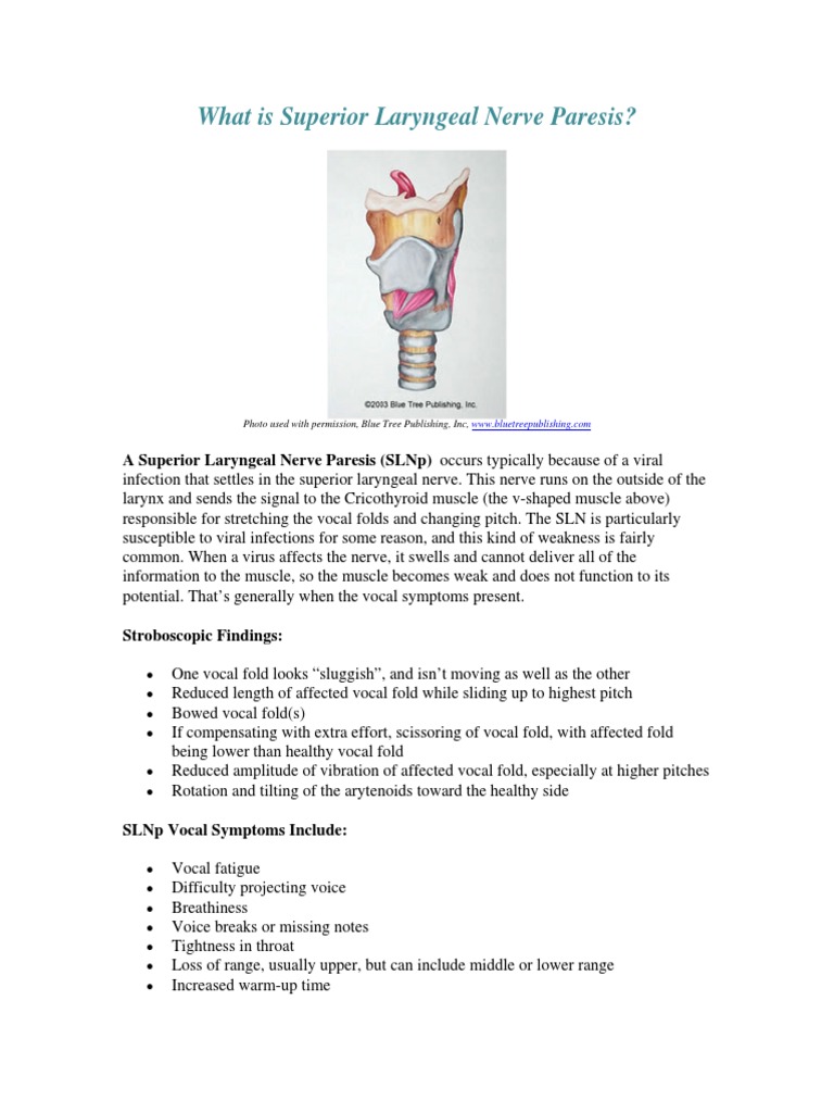 What Is Superior Laryngeal Nerve Paresis | PDF | Larynx | Singing