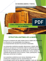 Características organolépticas de la madera.pdf