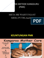 Pmk