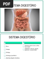 07. Sistema Digestório