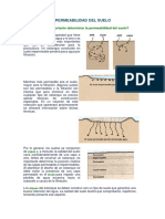 Permeabilidad Del Suelo