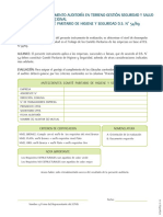 Formulario en Terreno CPHS D.S. N54 - SAP 107400651-11-12