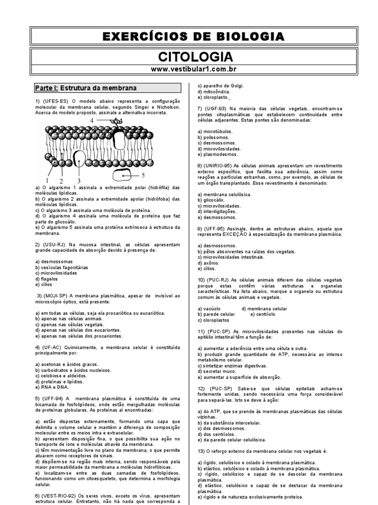 exercicios_citologia (1) | Citoplasma | Célula (Biologia)