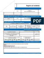 Registro-Incidentes 22