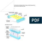 Bioquímica Electroforesis