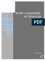 122317151 Audit Et Revision Des Comptes